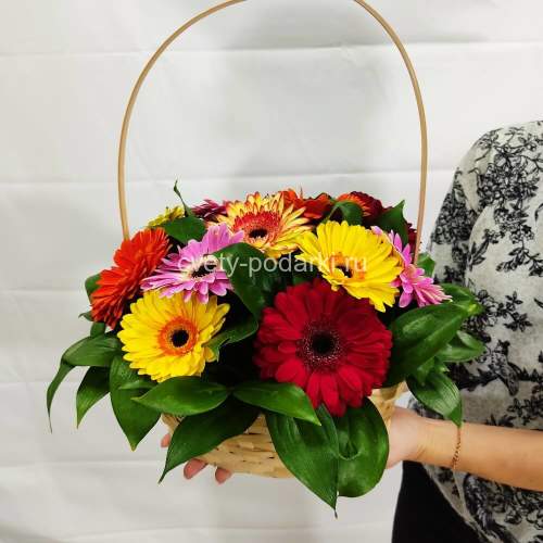 Корзина из 15 гербер с зеленью